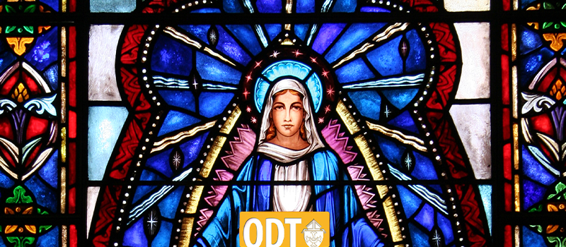 Bishop O’Connell on the Solemnity of the Immaculate Conception